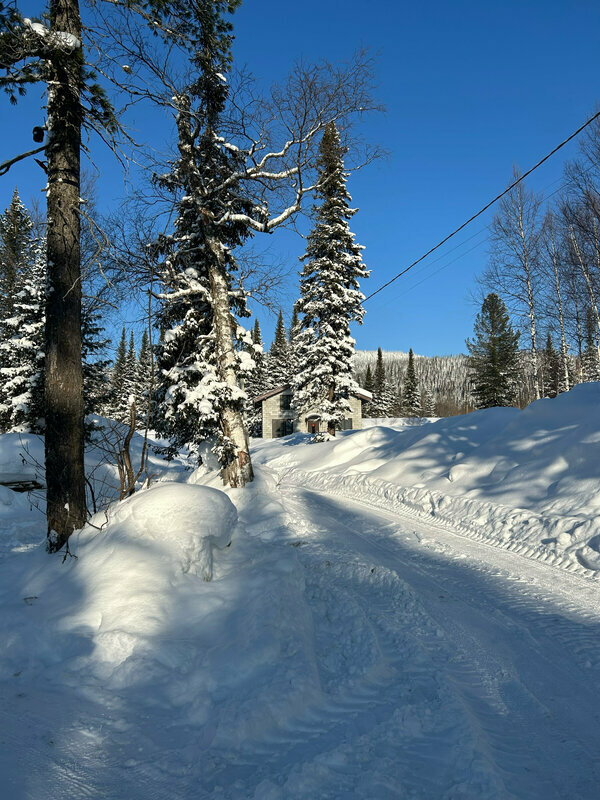 3 Богатыря