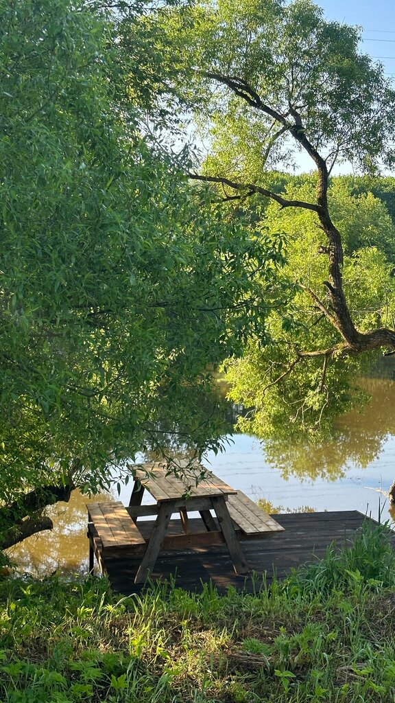 Ogonek na reke