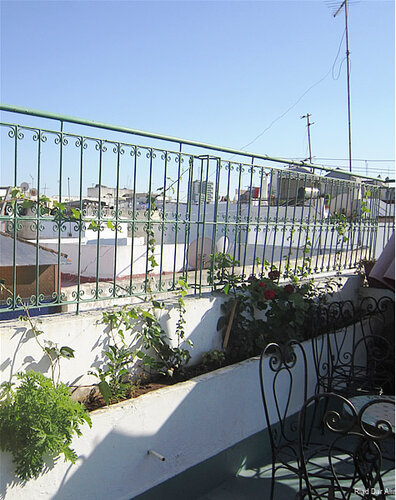 Riad Dar Alia