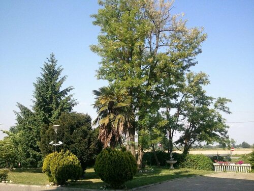 Hotel Europa, Rezervasyon Otel Rosate Lombardiya