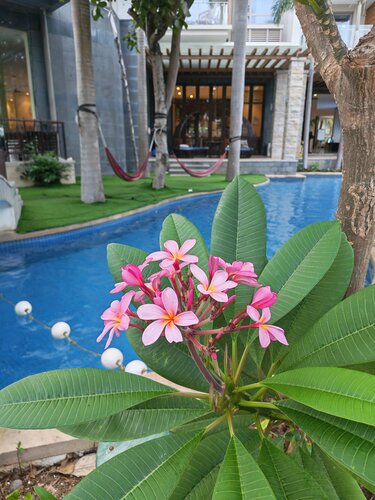 Sanya Seacube Holiday Hotel, Book Hotel Sanya hoteller med pool, Swimmingpool
