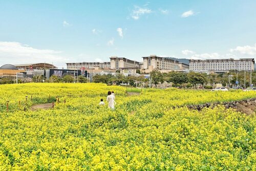 Marriott Jeju Shinhwa World Hotels & Resorts, Забронировать Отель Согвипхо Остров Чеджудо
