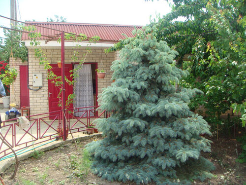 Elena, Reservar Hotel Morskoye 