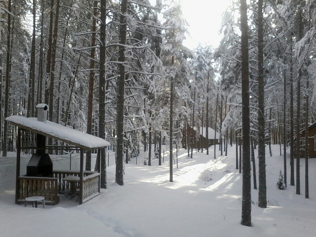 Свирская слобода