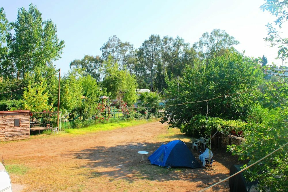 Medusa Camping