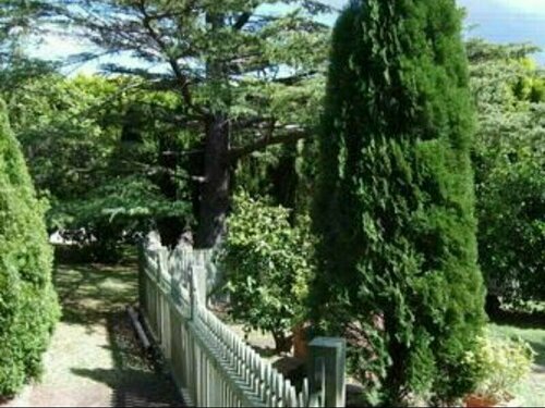 Tantarra Bed & Breakfast, 预订 宾馆 华纳海湾 麦夸里河