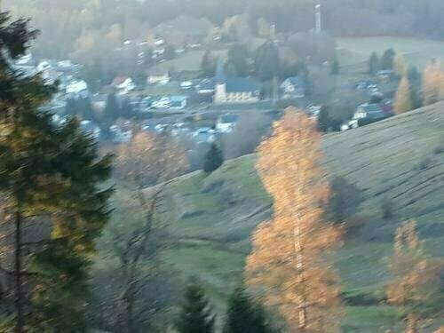 Pension Waldidyll, Prenota Hotel Hotel 3 stelle a Thuringian Forest, 3*