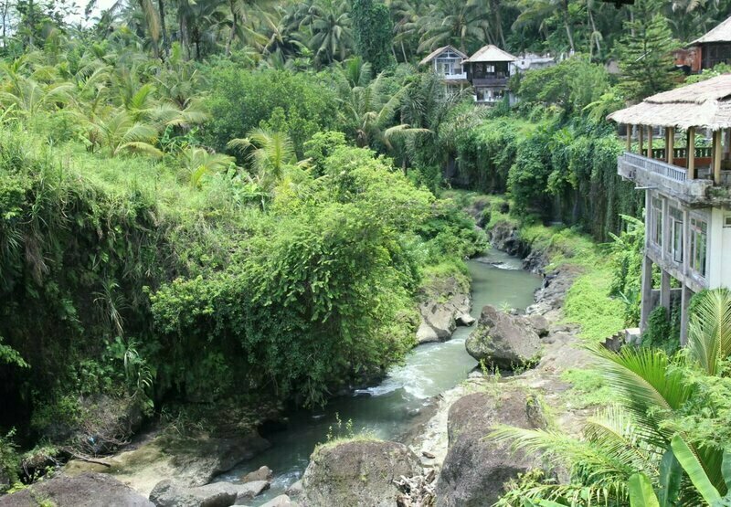 Michi Retreat Village