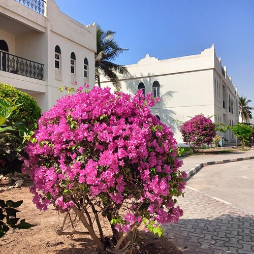 Samharam Resort Salalah, Prenota Resort Salalah Dhofar