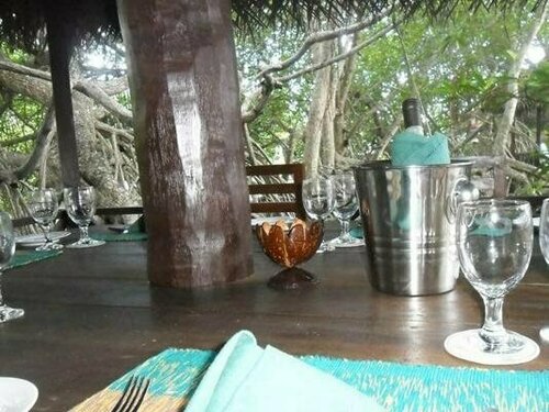 The Mangrovecave Hotel