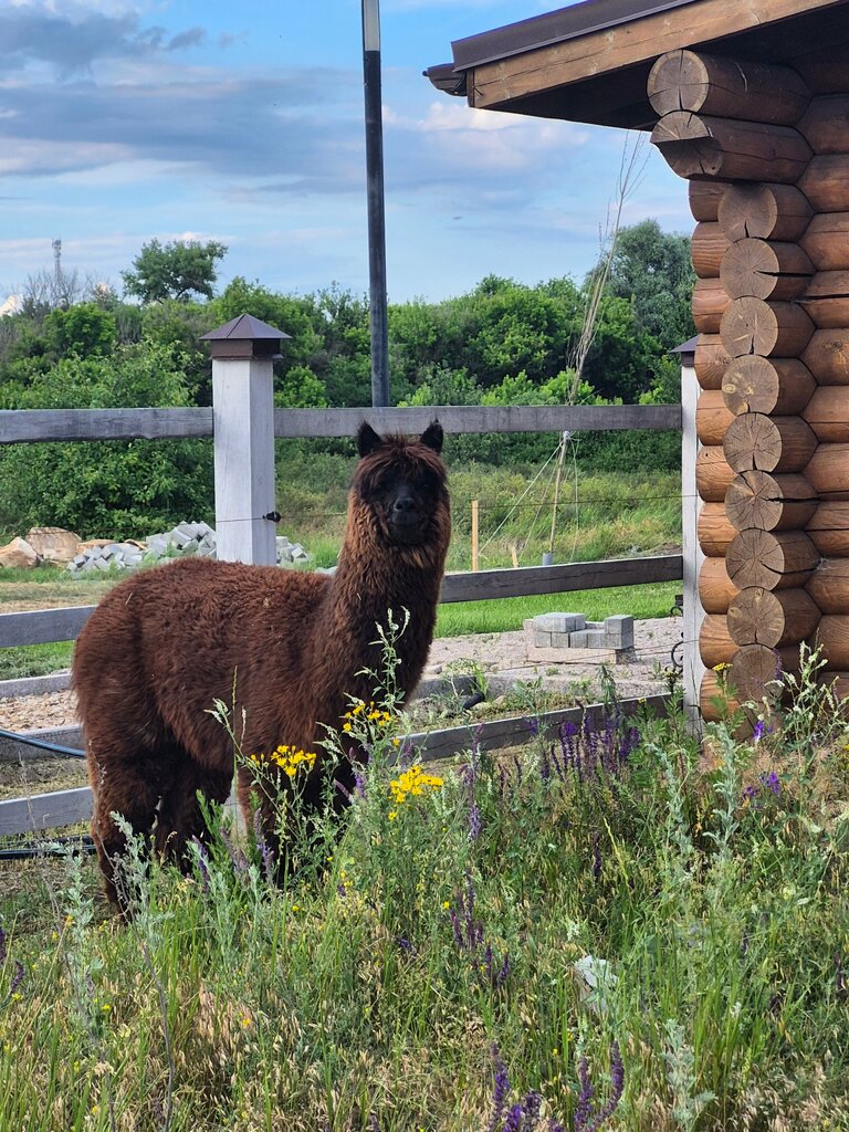 Калиновка