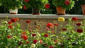 Paulay Borház és Vendégház, Rezervovat Hotel Tokaj Košický kraj