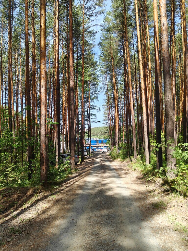 Южный парк