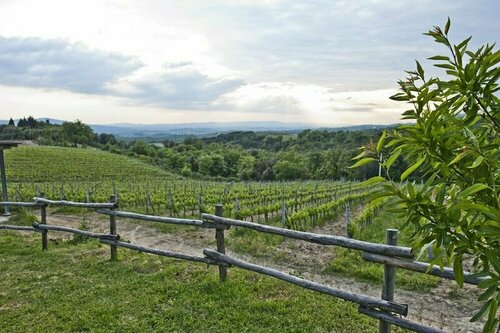 Agriturismo Oliviera, Book Landbrugsophold Vagliagli Chianti