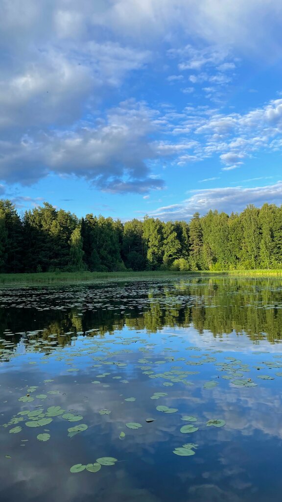 Листья