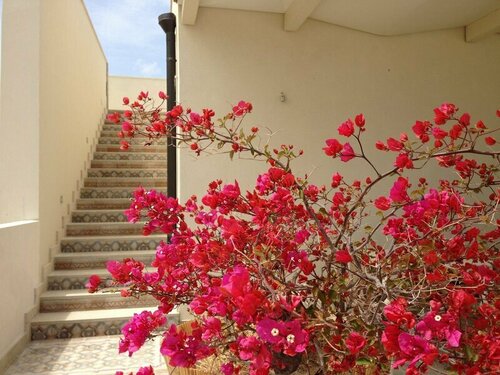 Scilla Maris Charming Suites-Restaurant, Book Feriehus Noto Noto Valley