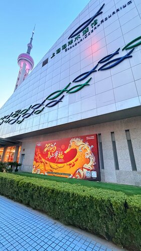 Oriental Riverside Bund View Hotel, Забронировать Отель Отели Пудун с завтраком, Завтраки