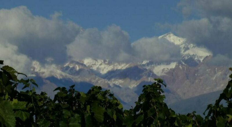 Finca La Azul