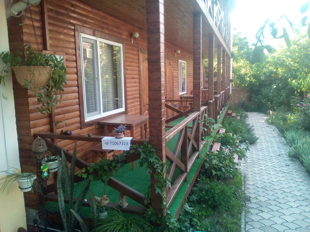 Олива