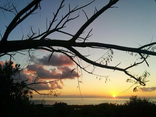 Villa Coral Sunset, Boek Villa Hotels in Peyia met zwembad, Zwembad