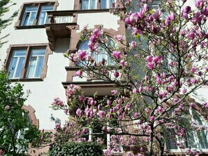 Art-Hotel Robert Mayer, Забронировать Отель Отели Франкфурт-на-Майне 3 звезды, рядом с Merianplatz, 3*