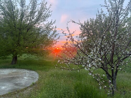 Mesto Vstrechi, Prenota Resort Zavolzhskoe 