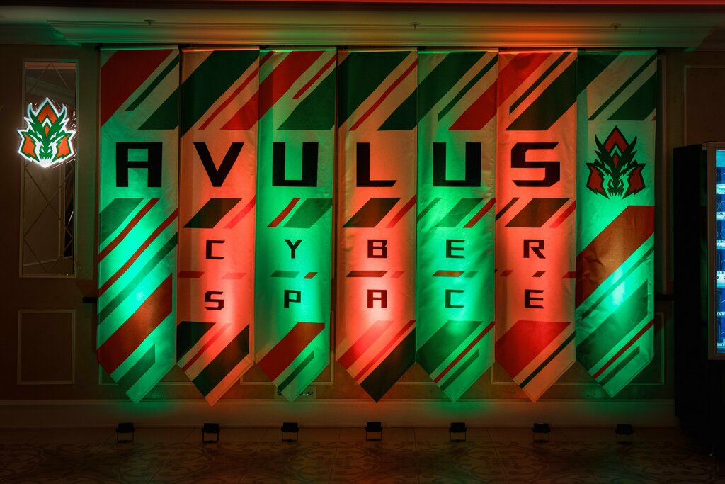 Avulus Cyber Hotel