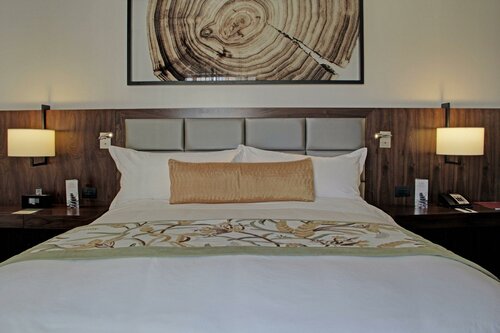 Hotel Real Intercontinental Guatemala, an IHG Hotel, Prenota Hotel Zona 10 