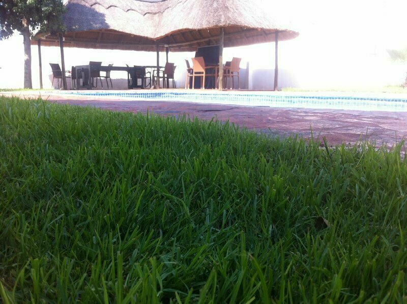Cosy Palms Guest House