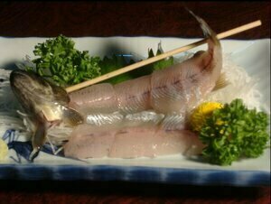 Ominesandorogawaonsen Saratoku Hotel