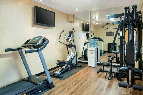 Comfort Inn & Suites San Francisco Airport North, Забронировать Отель Южный Сан-Франциско San Mateo County