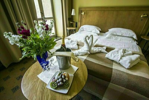 Best Western Hotel Central, Rezervovat Hotel Wellness hotely v Alytus, SPA