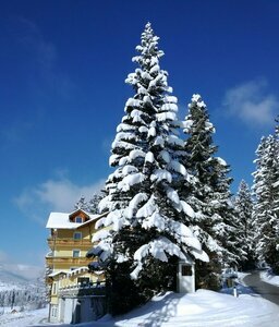 LiebesNesterl Bergwirt - Boutique Hotel