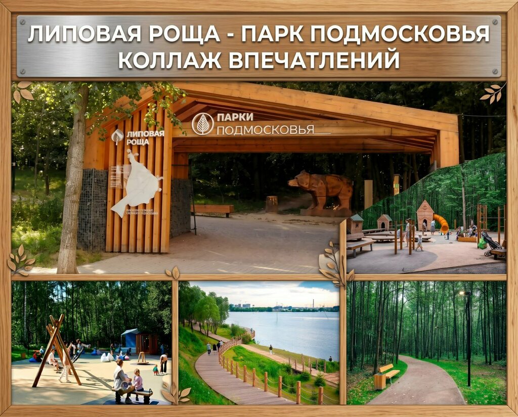 KrokusTut