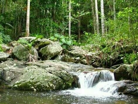 Rainforest Ranch