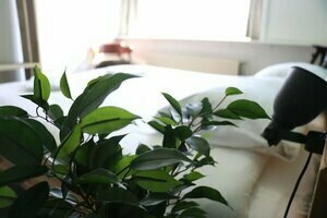 Hostel Roots, Prenota Ostello Ostelli a Noord-Brabant, Ostello