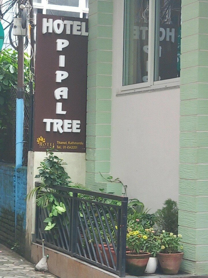 Hotel Pipal Tree