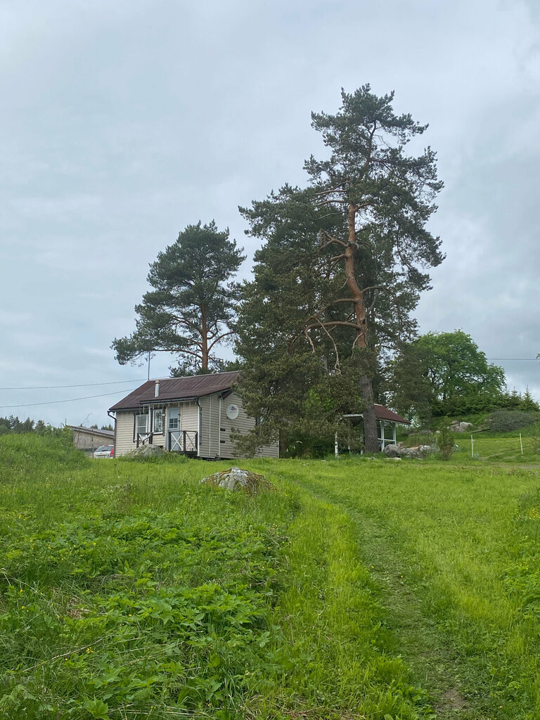 Лавиярви