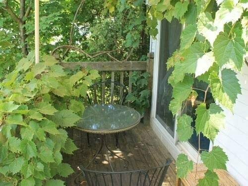 Clover Field House, Prenota Hotel Hotel a Ontario con parcheggio, Parcheggio
