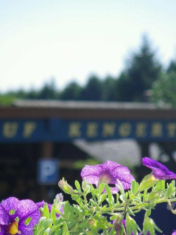 Country Camp camping Auf Kengert