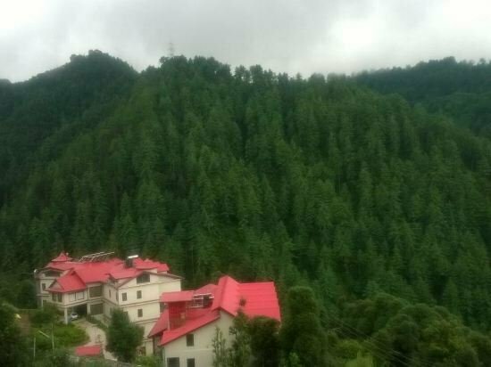 Shimla Greens