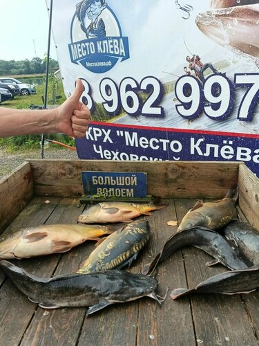 Mesto Kleva