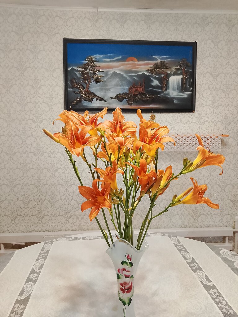 Hotel Holiday Villa