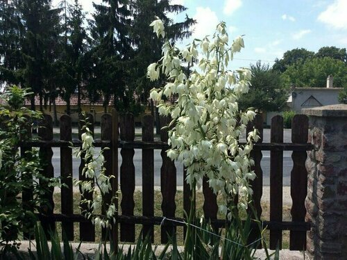 Ferienhaus Silvi, Забронировать Отель Отели Хедькё с парковкой, Парковка
