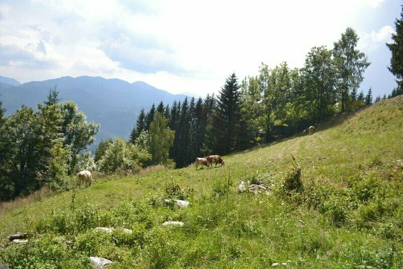 Gasthof Oberer Gesslbauer