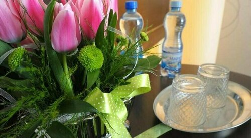 Hotel Czardasz Spa & Wellness, Book Hotel Hoteller i Masovia med parkering, Parkering