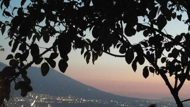 IL Poggio delle Rose