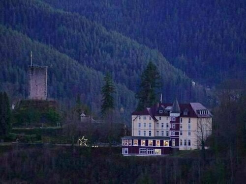 Hotel Schloss Hornberg, Réserver Hôtel Hôtels à Bade-Wurtemberg avec parking, Parking