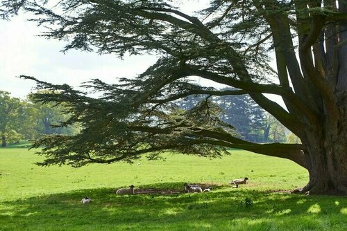 Dumbleton Hall Hotel, Rezervați Hotel Hoteluri în Gloucestershire cu parcare, Parcare