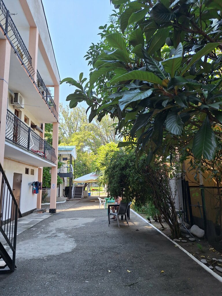 Платан